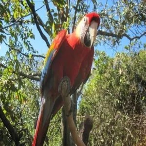 Lugares Turísticos en Santa Ana